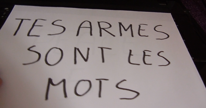 L’attribut alt de cette image est vide, son nom de fichier est tes-armes-1.png.